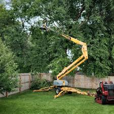 Best Arborist Consultation Services  in Mishawaka, IN